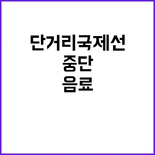 항공사 단거리 국제…