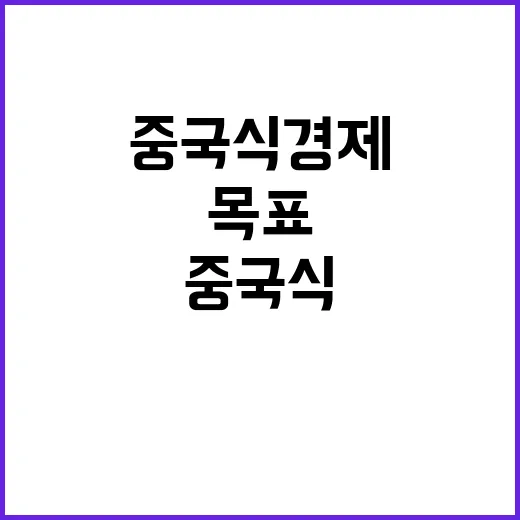 중국식 경제 민주당…