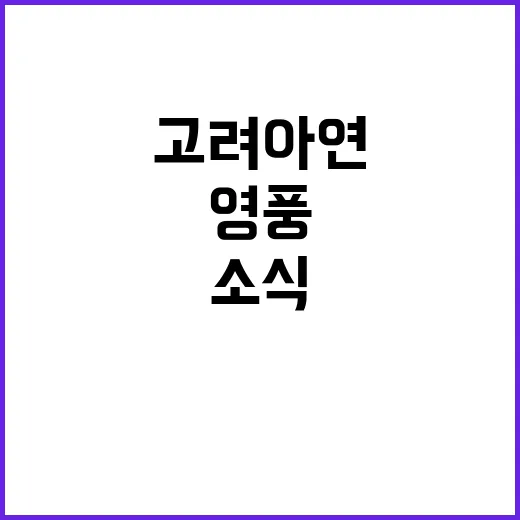 고려아연 매각 소식 영풍의 강력한 입장 발표!