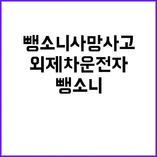 음주 뺑소니 사망사고 외제차 운전자 구속되나?