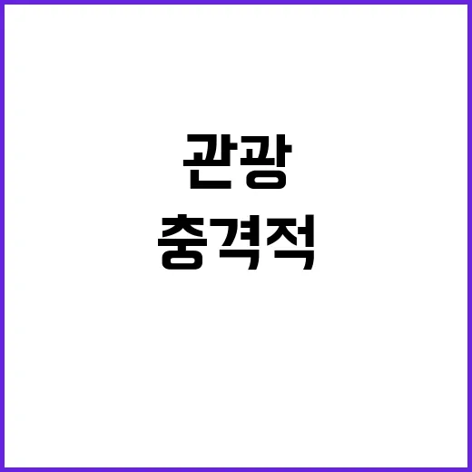 쥐떼 관광 뉴욕시의 충격적 결정!