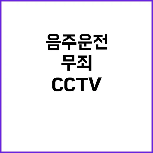 음주운전 무죄 CCTV와 술의 놀라운 진실!