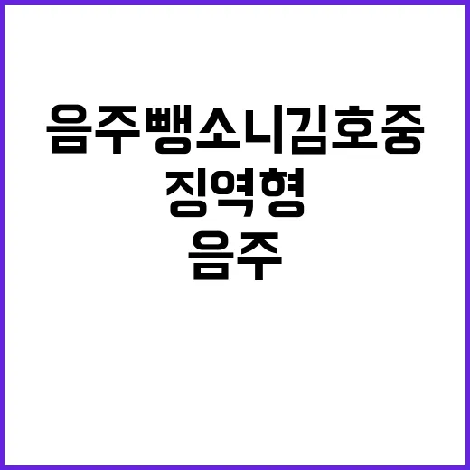 음주 뺑소니 김호중 징역형 선고 임박!