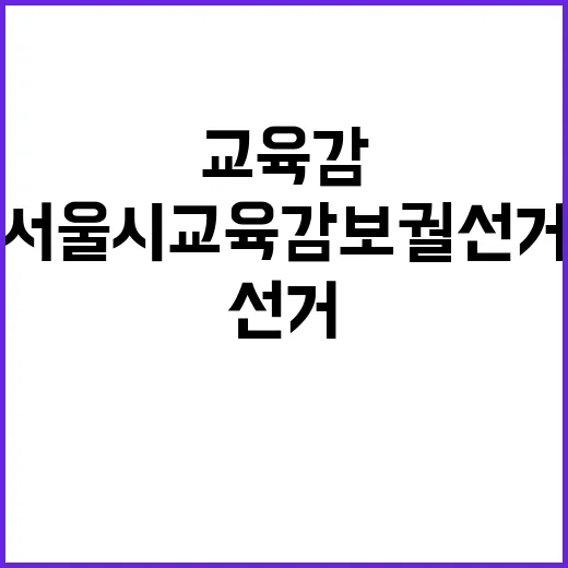 서울시 교육감보궐선거 당신의 한 표가 필요해!