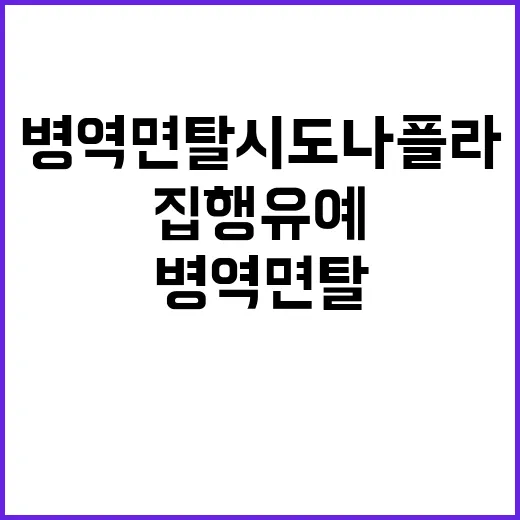 병역 면탈시도 나플…