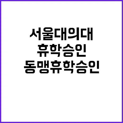 서울대 의대 동맹휴…