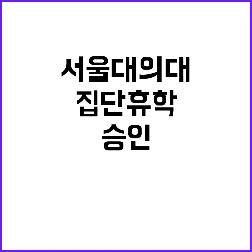 서울대 의대 집단 …