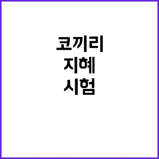 코끼리 문제 당신의…