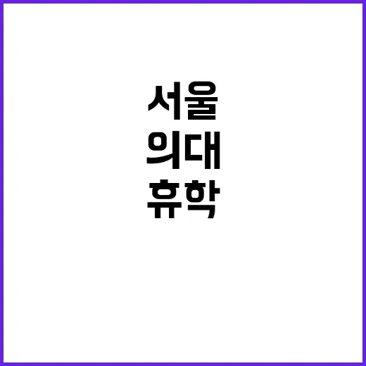 서울의대 감사 도미…