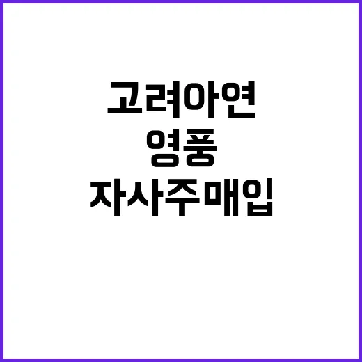 영풍 주장 기각 고려아연 자사주 매입 가능!