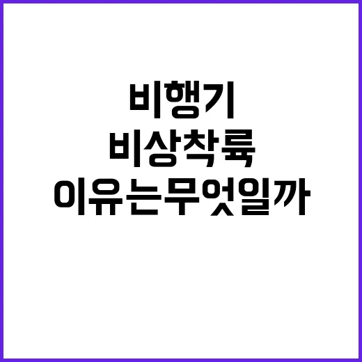 비행기 멕시코 비상착륙 이유는 무엇일까?