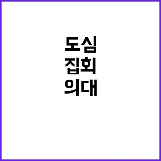 의대교수 집회 도심 통행 불편 심각!