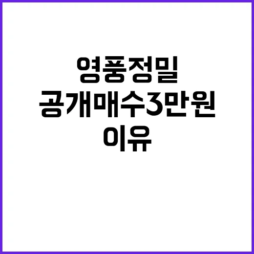 영풍정밀 공개매수 …