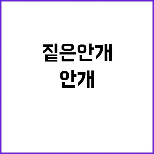 쌀쌀한 출근길 짙은 안개 주의보 발령!