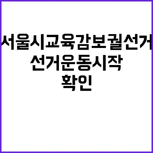 서울시교육감 보궐선…