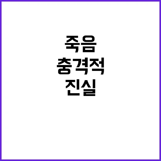 어머니 죽음 돼지 …