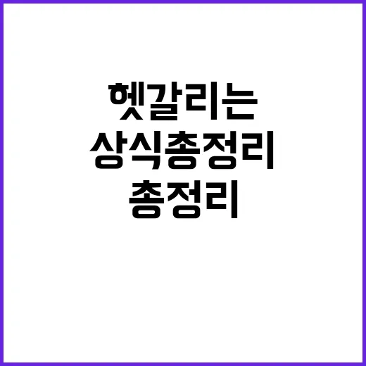 운전상식 총정리 뒤…