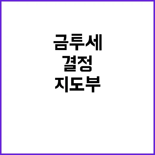 금투세 민주당 지도…