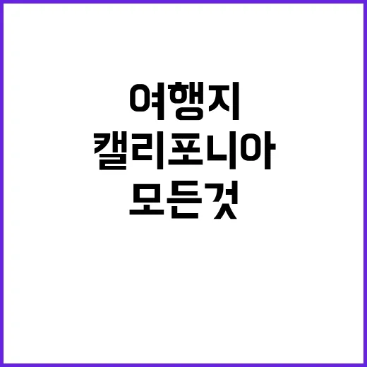 캘리포니아 다양한 …