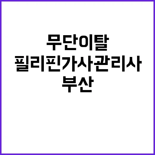 무단이탈 필리핀 가…