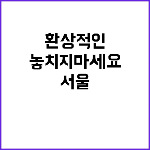 서울 하늘의 환상적…