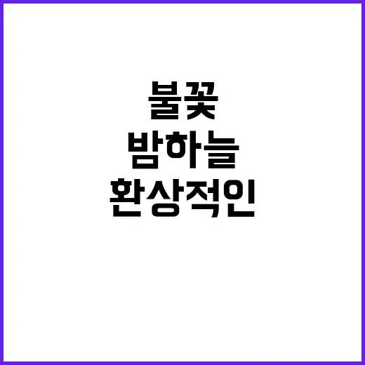 불꽃 밤 하늘의 환…