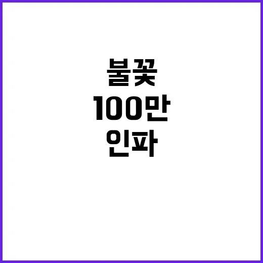 불꽃놀이 100만 인파 가을밤 안전한 마무리!