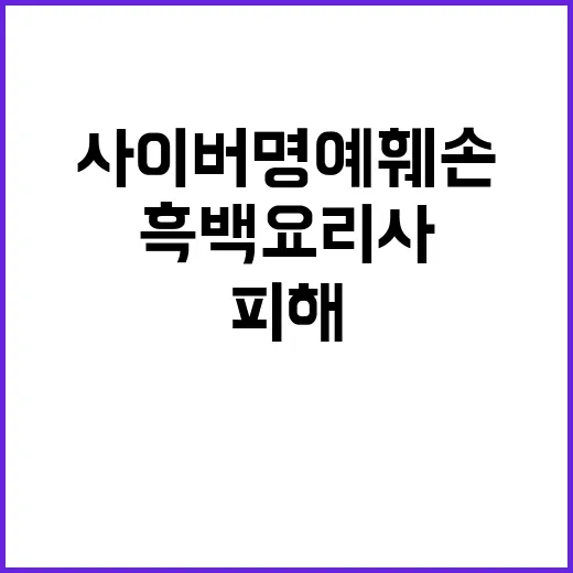 사이버 명예훼손 흑…