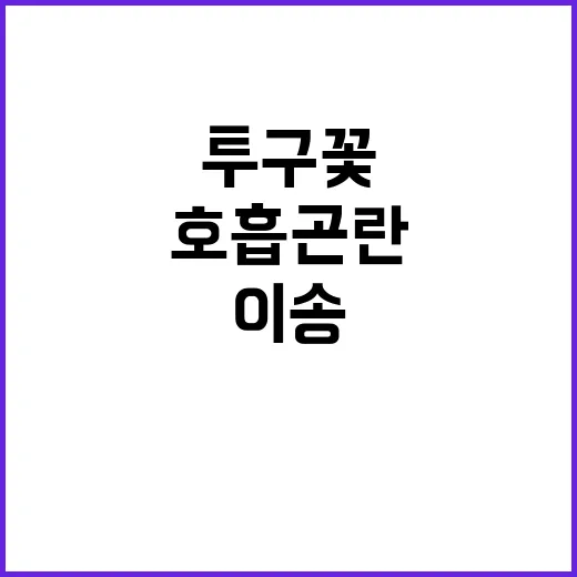 투구꽃 호흡곤란 환자 병원 이송 소식!