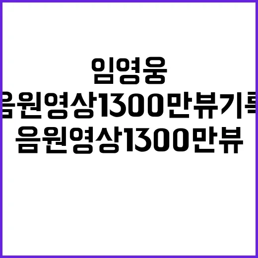 임영웅 홈 음원영상…