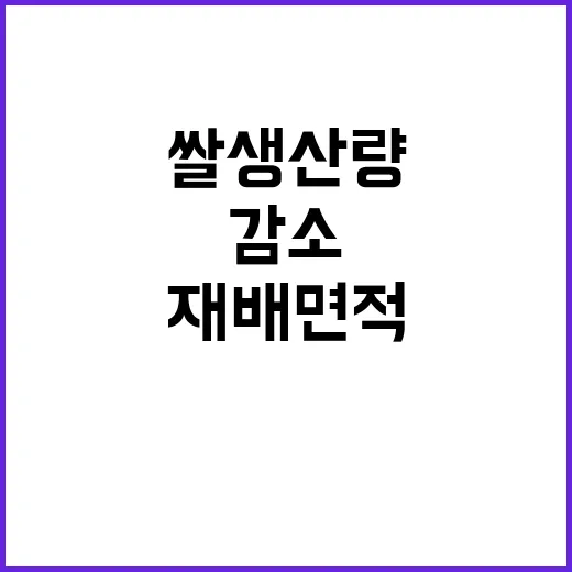 쌀 생산량 감소 재…