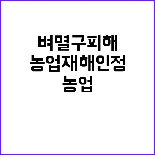 벼멸구 피해 농업재…