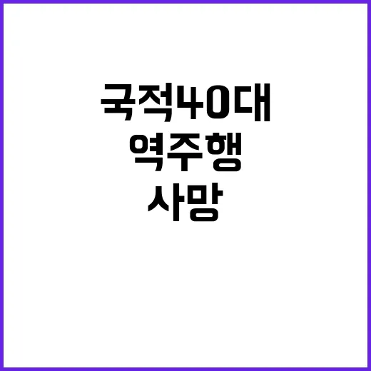 역주행 사고 중국 …