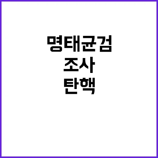 명태균 “검 조사 …