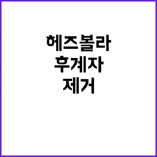 헤즈볼라 후계자 제…