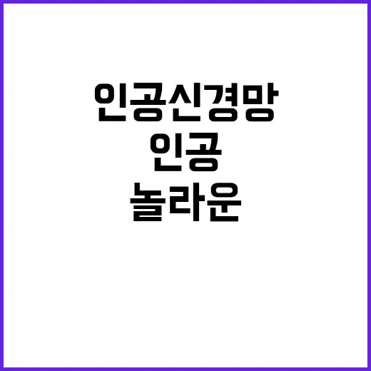 인공신경망 놀라운 결과 도출 과정 공개!