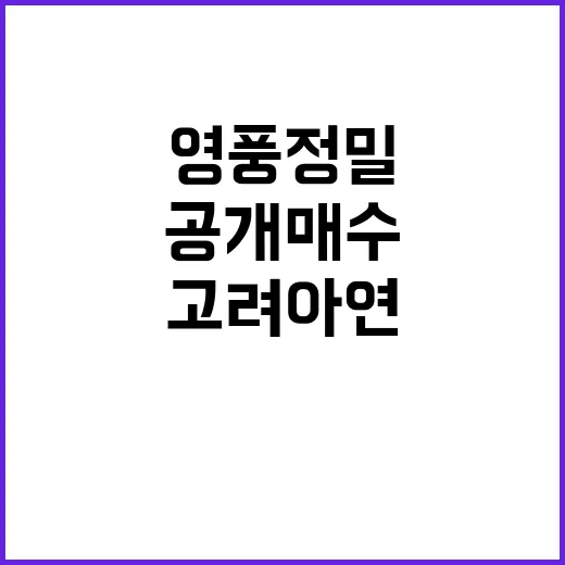 공개매수 고려아연·영풍정밀 더 이상 안 올려