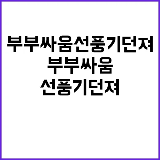 부부싸움 선풍기 던…