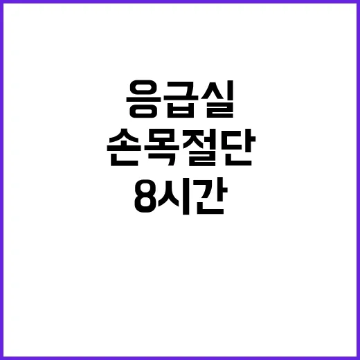 손목 절단 응급실 8시간 진료 대기한 이유?