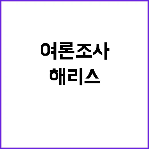 해리스 트럼프 3%…