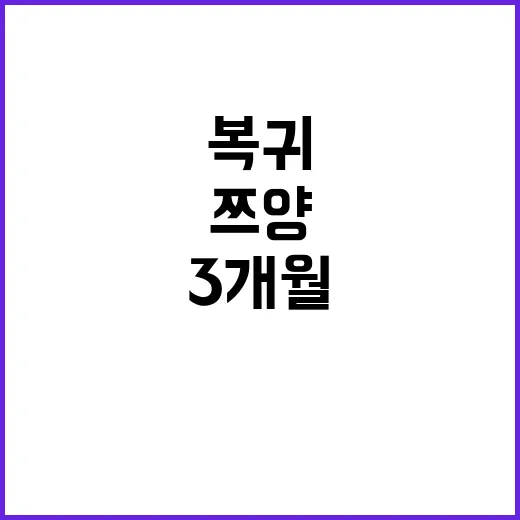 복귀!…쯔양의 지옥…