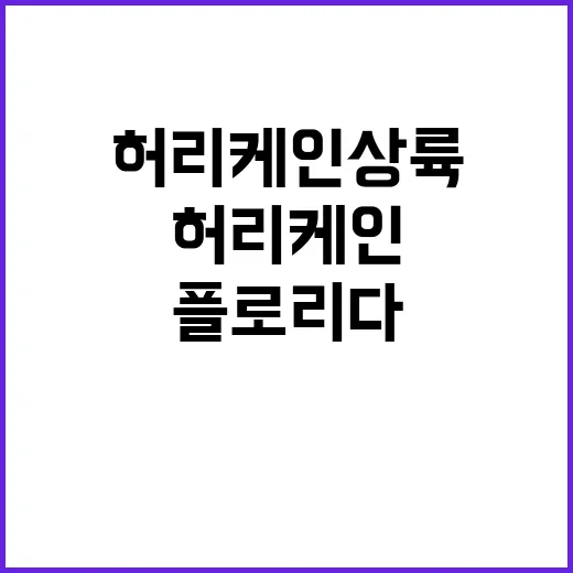 허리케인 상륙 플로…