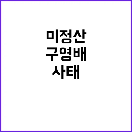 미정산 사태 구영배…