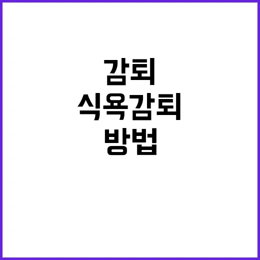 비만약 혁신 식욕감퇴 부족 해결하는 방법 공개!