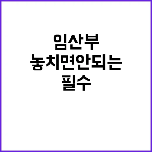 임산부 필수 챙김 놓치면 안 되는 네 가지!