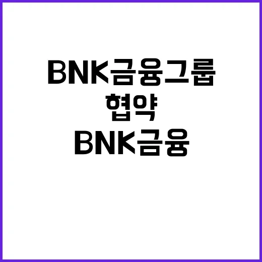 BNK금융그룹 카자…