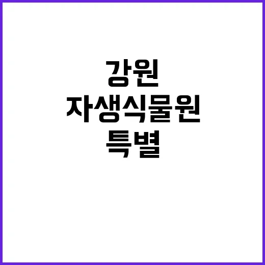 강원조달청 자생식물원과 특별 관광상품협력 계획!