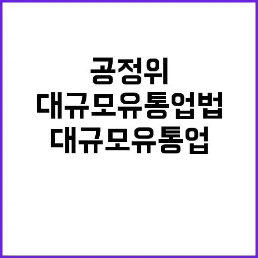 “대규모유통업법 공…