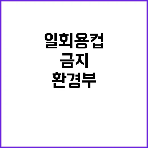 환경부 “일회용컵 금지 시행 일정 미정 공개”