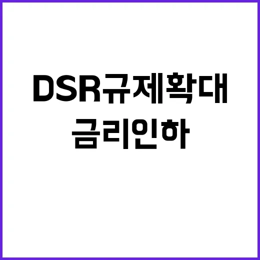 금리 인하 DSR …